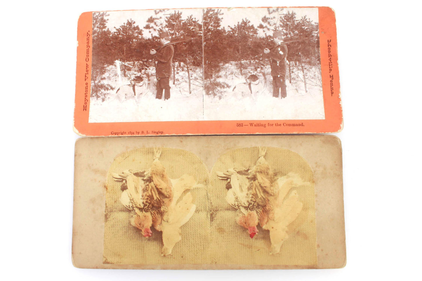 Pair of Stereoview Cards, Hunting with Dog