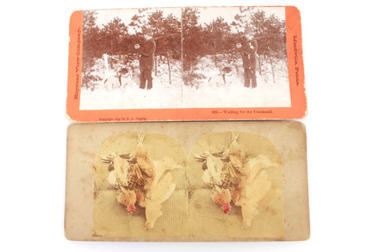 Pair of Stereoview Cards, Hunting with Dog
