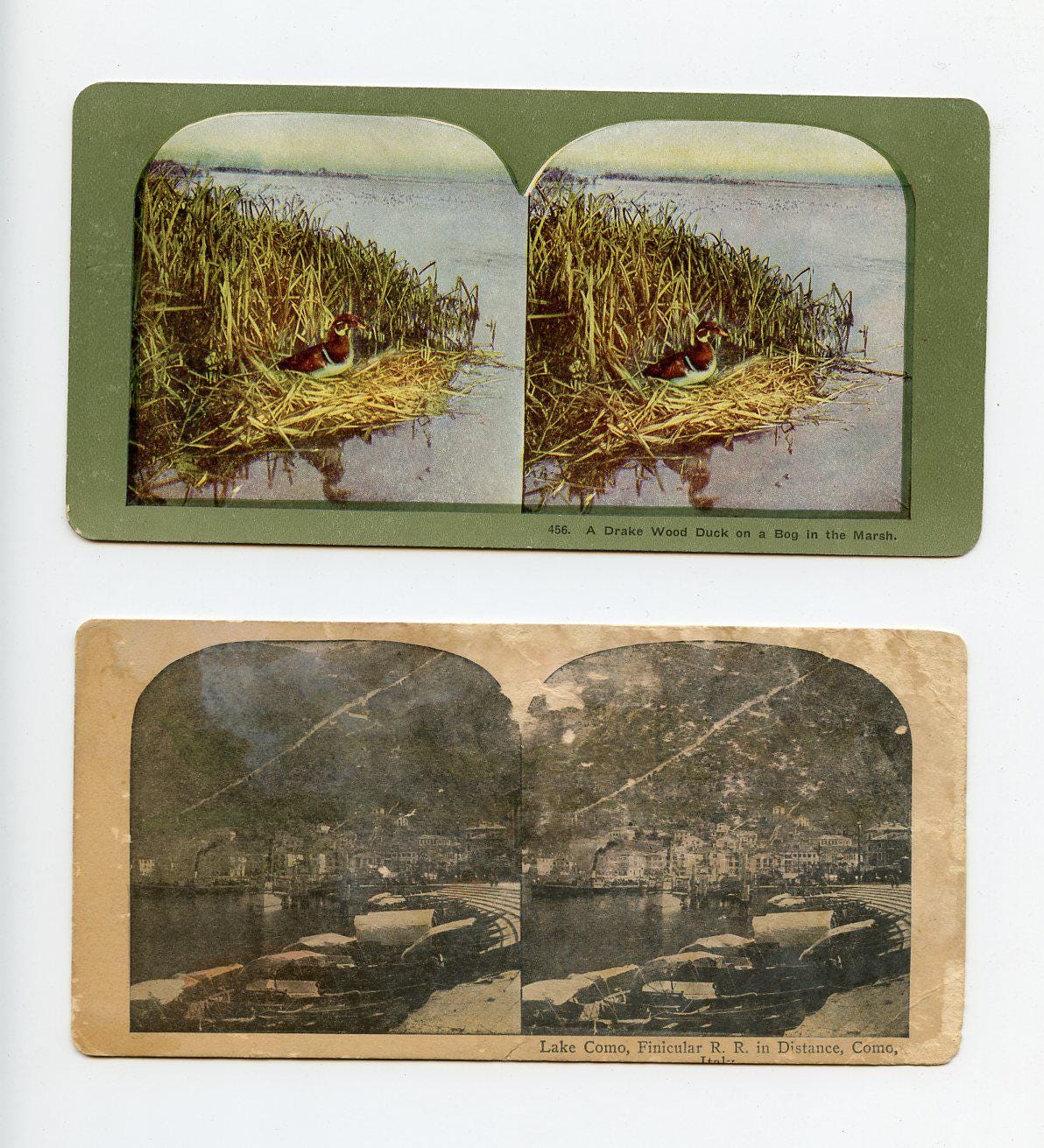 Antique Stereoviews Lot of Five, Various Views, Wood Duck, Italy, Train