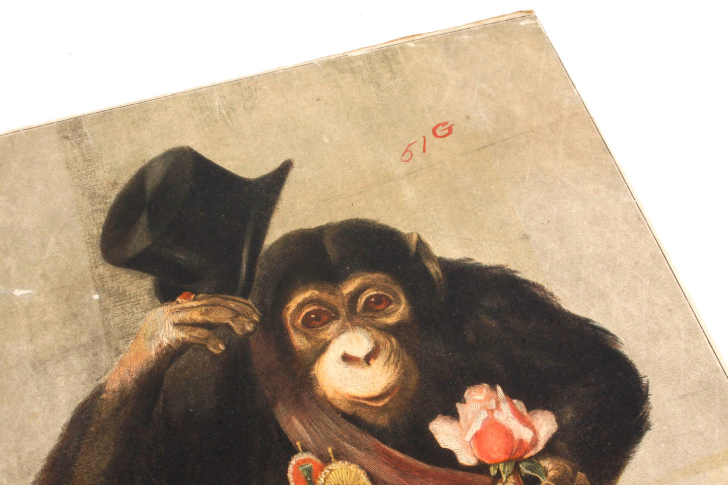Monkey with Top Hat Print Board