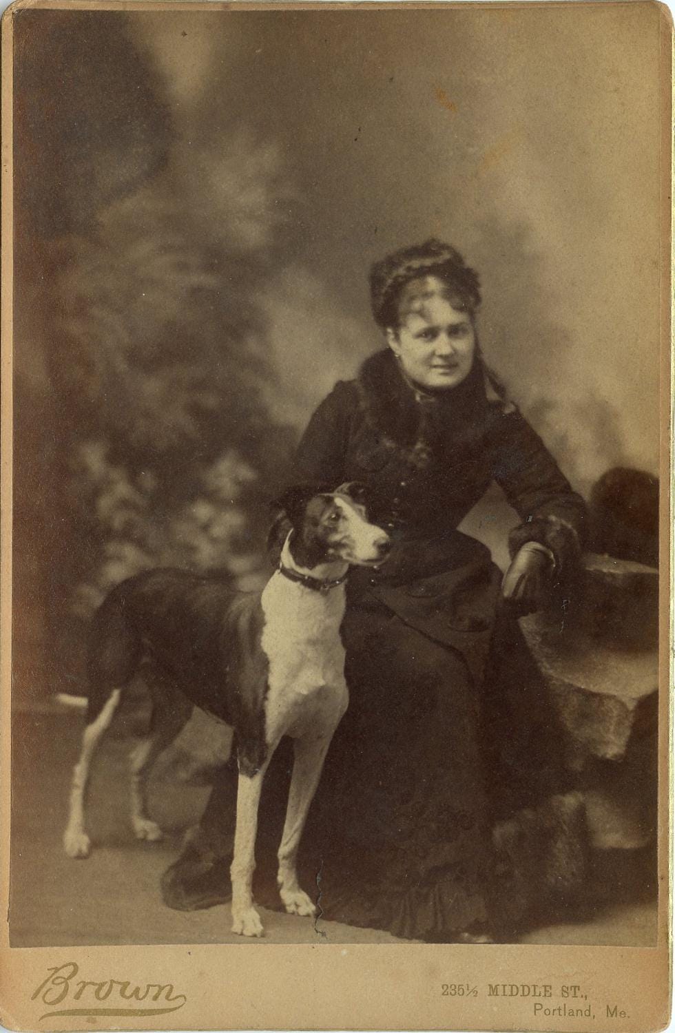 1883 Vintage Cabinet Card Well Dressed Lady with her Dog Portland ME