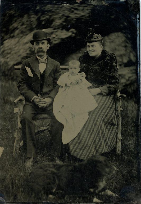 Vintage Tintype Family with their Dog Outdoors