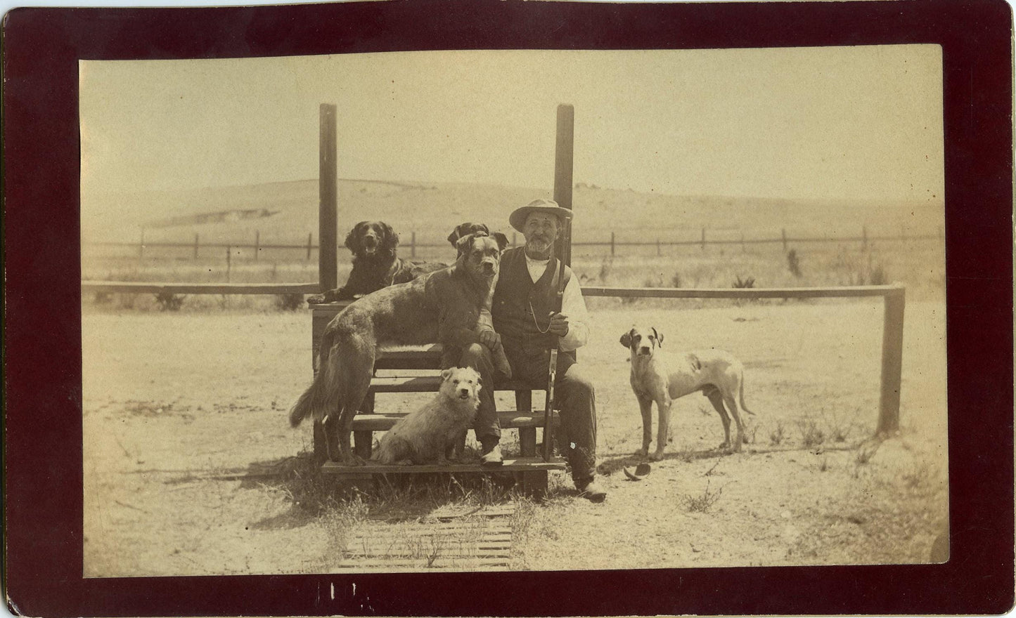 Vintage Photo Hunter on Ranch with 5 Dogs