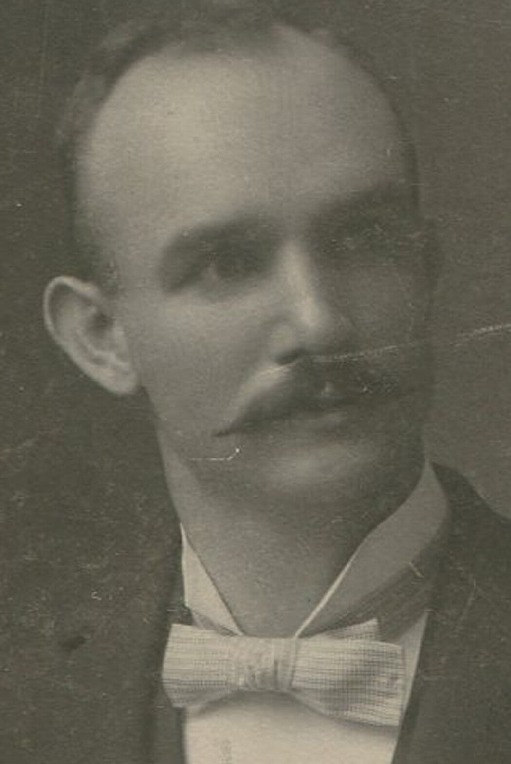 Vintage Cabinet Card Photo: Man in Bow Tie, Wax-Tipped Mustache - Gelatin Silver