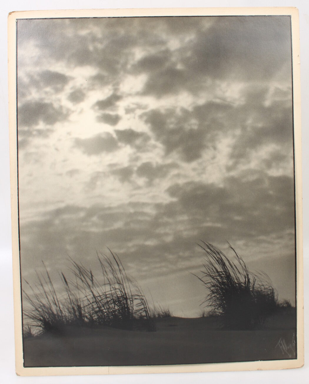 Beach Grass with Clouded Sky, Vintage Silver Print 20 x 16, Original Photo
