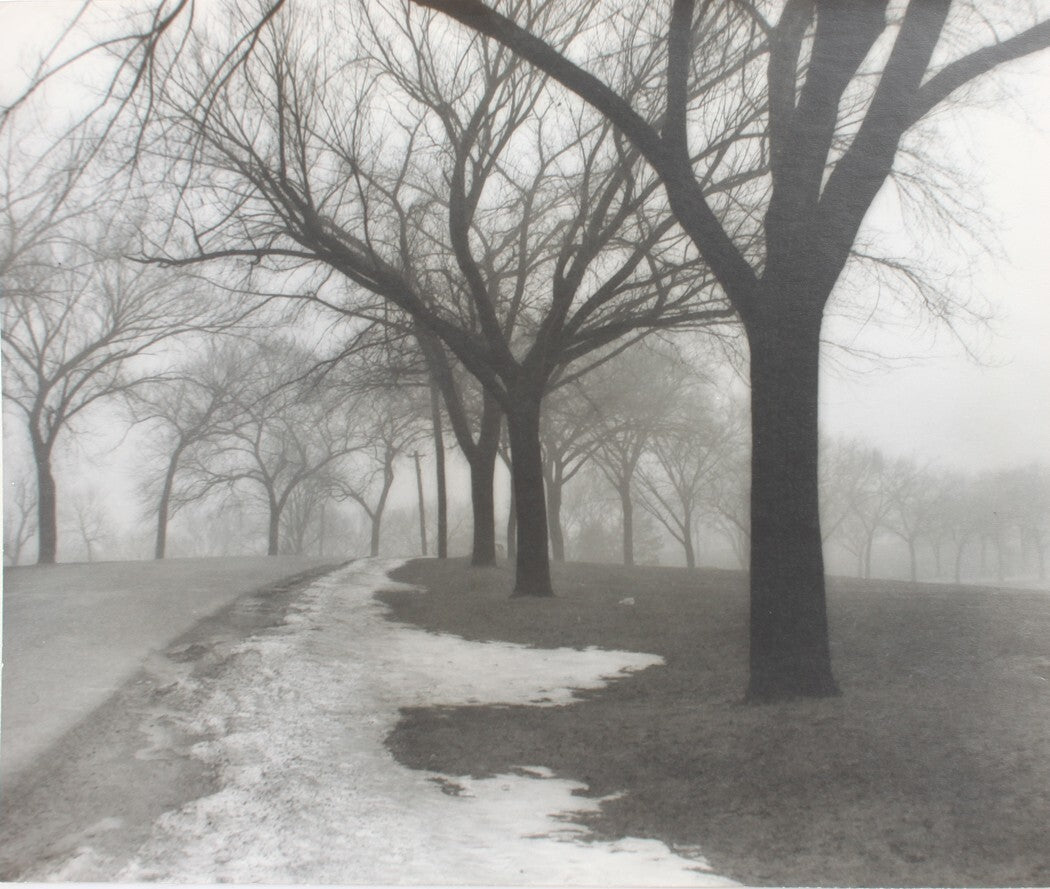 Vintage Pictorialism Photo: Tree-Lined Path, 13x15.5 Silver Print, Black & White