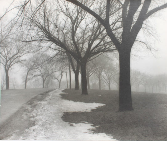 Vintage Pictorialism Photo: Tree-Lined Path, 13x15.5 Silver Print, Black & White