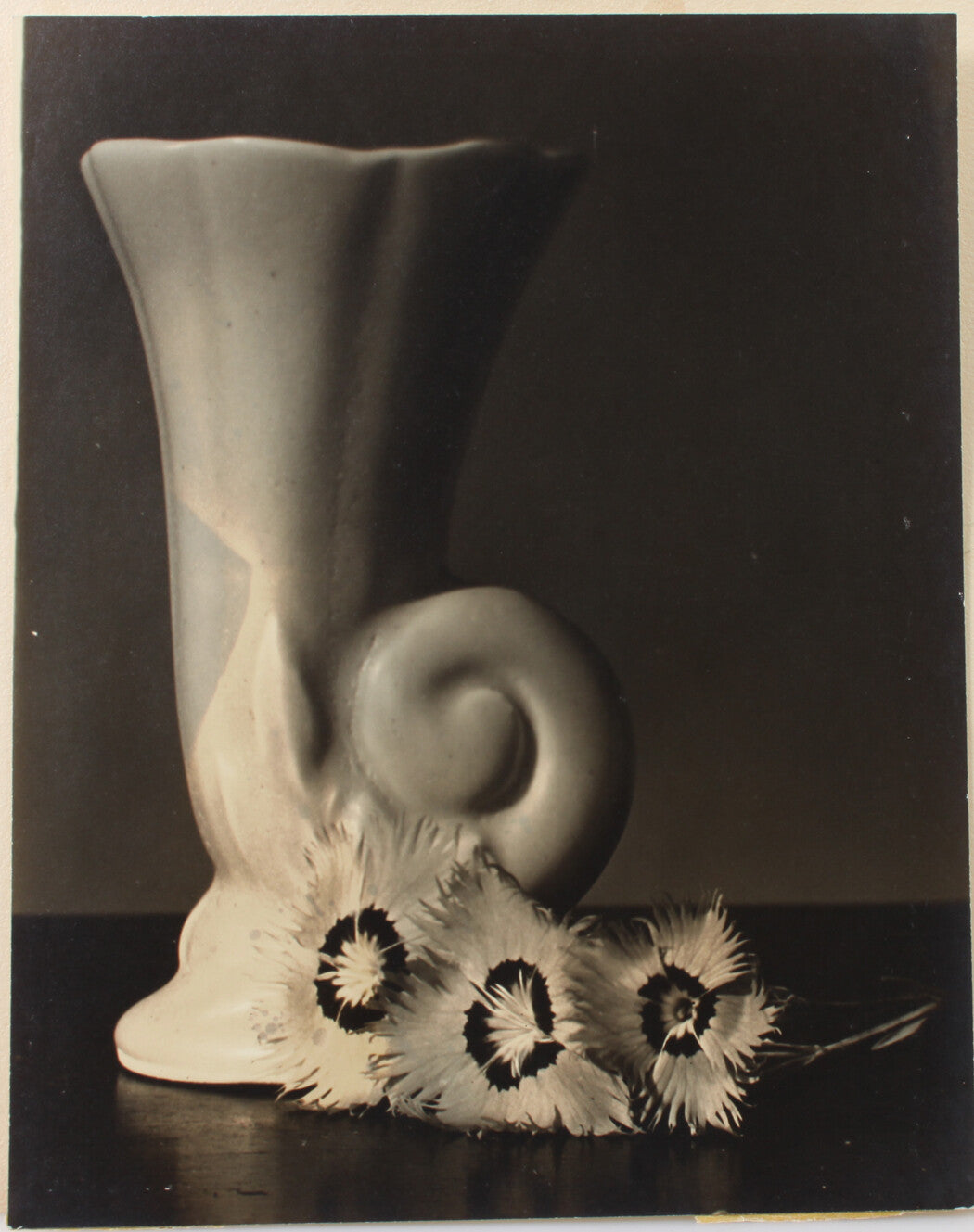 CERAMIC VASE WITH 3 FLOWERS AT BASE. 14 X 11 INCH SILVER PRINT.