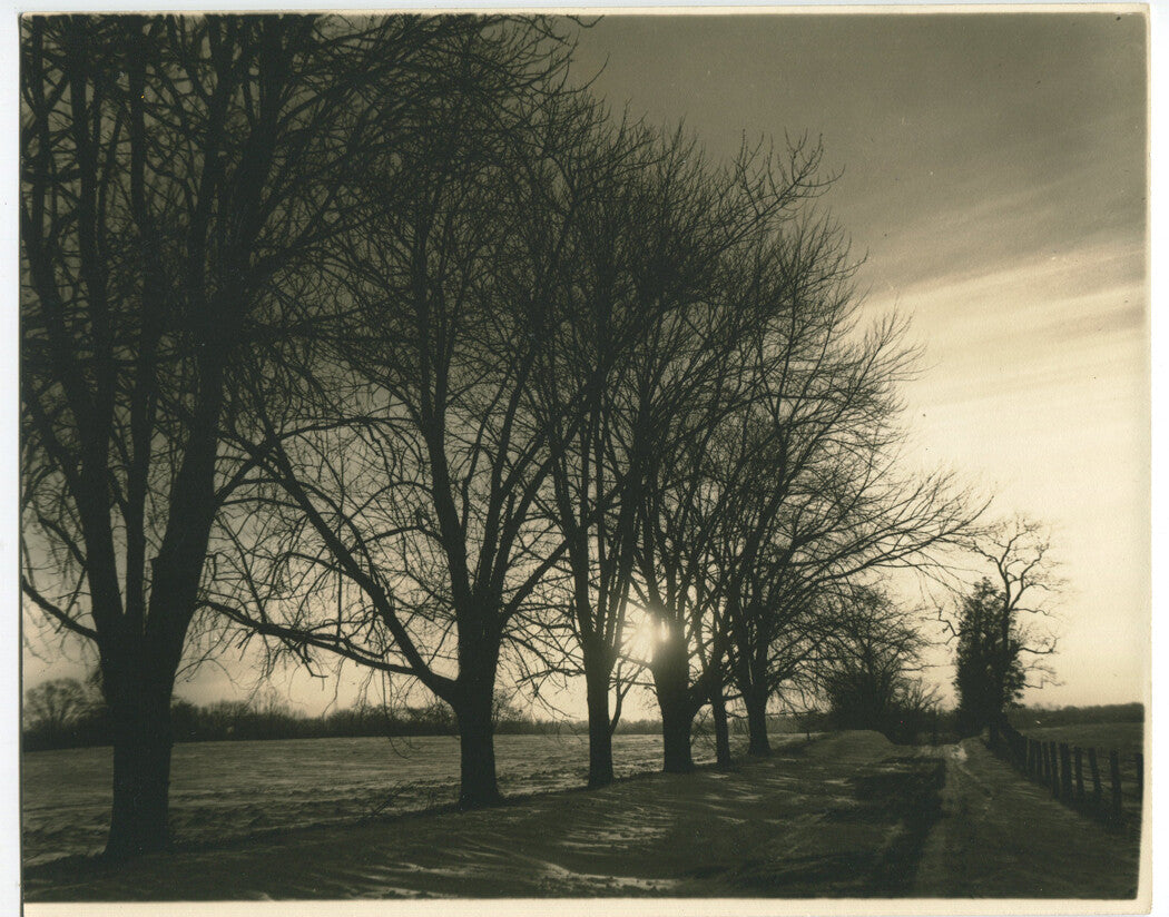 LANDSCAPE AND STILL LIFE PHOTOS. LOVELY 4 SET OF 8 X 10 INCH SILVER PRINTS.