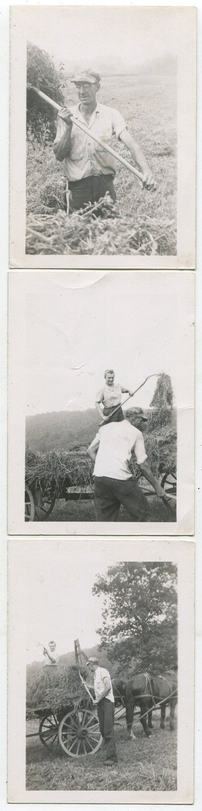 Must-Have Vintage 1950s B/W Hay Baling Photo Set - Wife & Husband Team, 3-Set