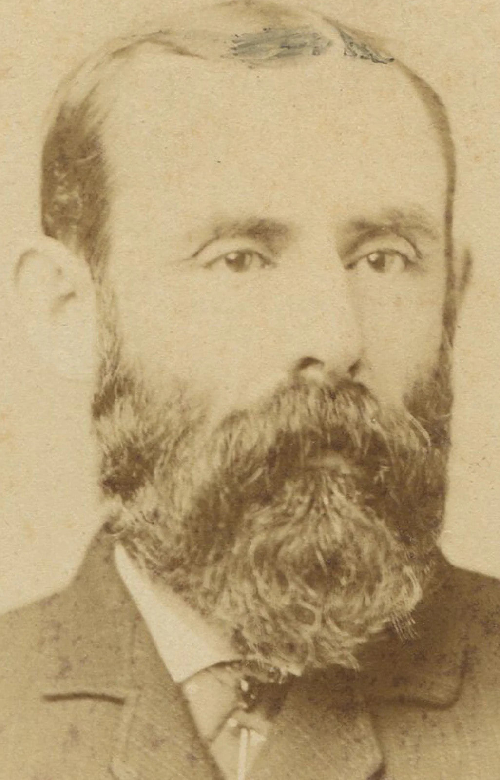 Vintage Cabinet Card Photo - Man with Thick Wavy Beard, Newark, NJ, Early 1900s