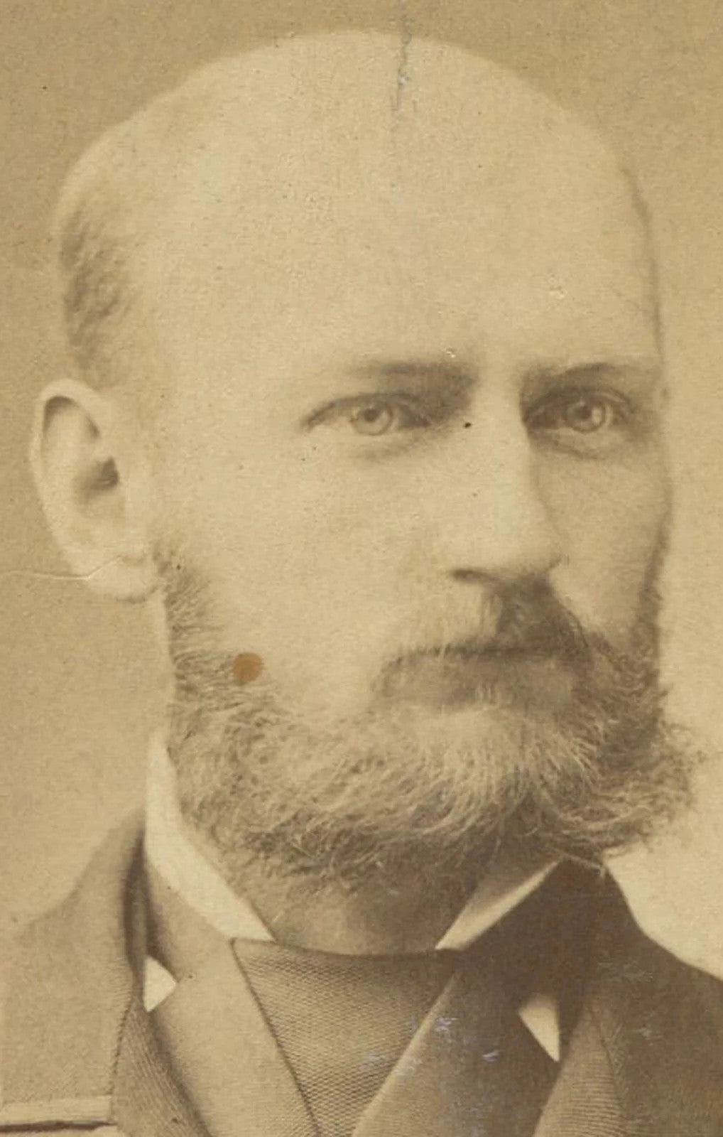 Vintage cabinet card photo: balding man with a fancy beard, New York studio