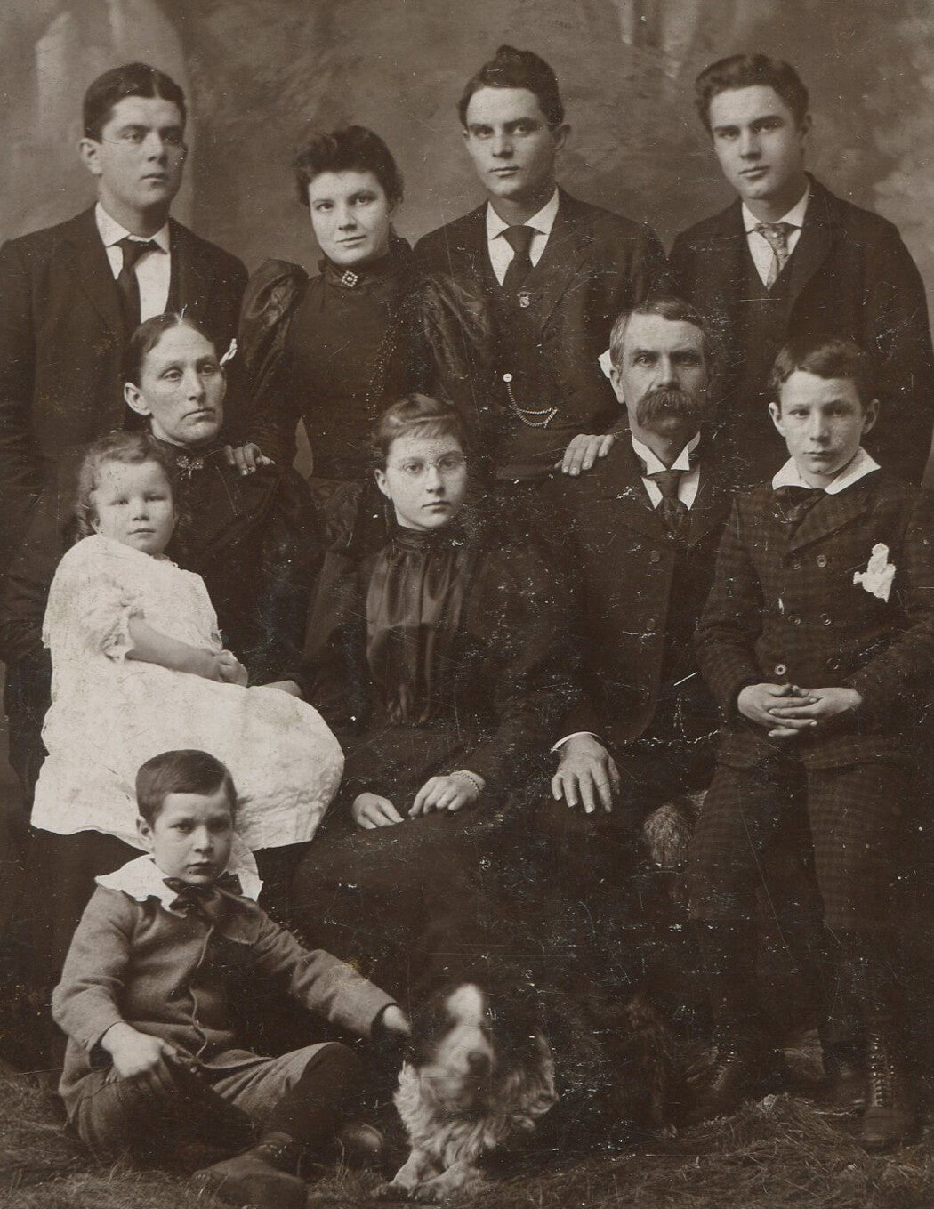 Vintage Cabinet Card: Large WV Family with Dog, Piedmont, West Virginia