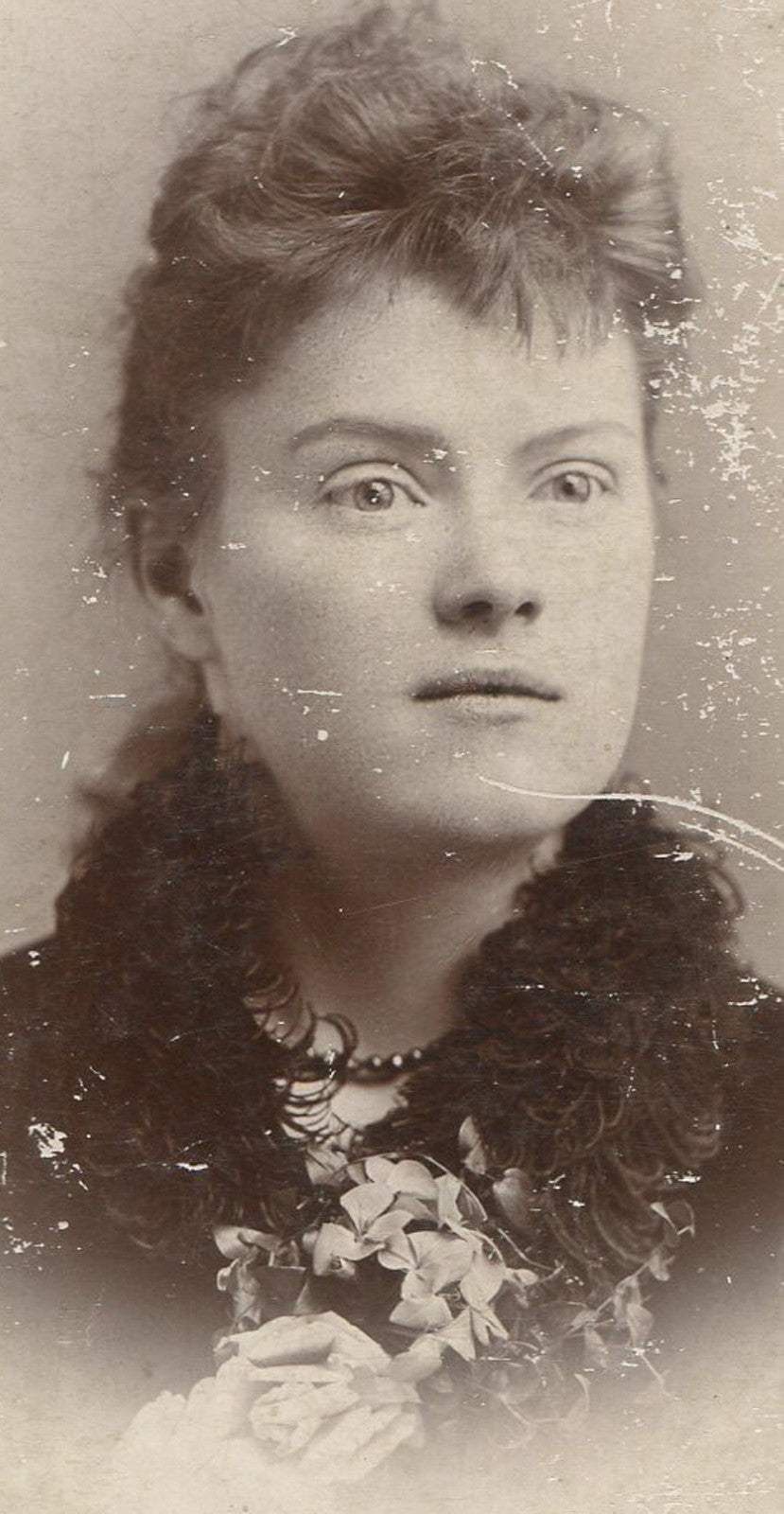 Vintage cabinet card photo - St. Louis MO studio portrait, two views, original