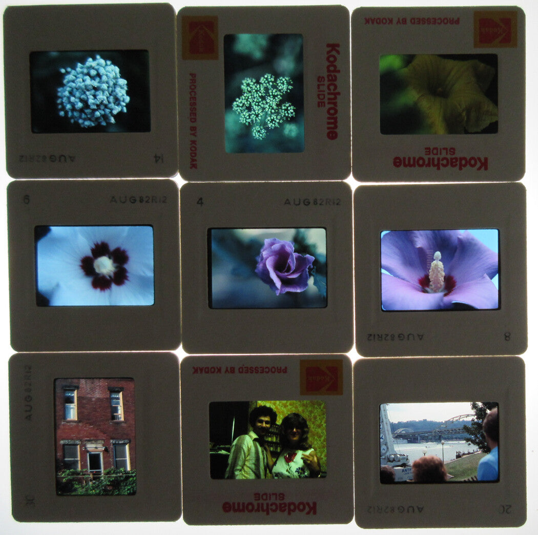 FLOWERS, MISC. KODACHROME SLIDES. 1980s. 40 PLUS SLIDES.