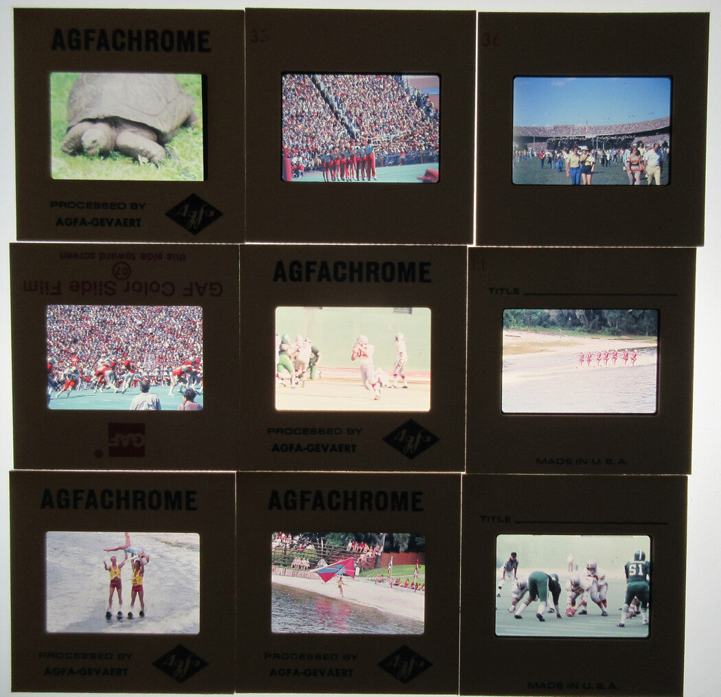 OHIO STATE FOOTBALL, FLOWERS, MISC. 100 PLUS KODACHROME SLIDES. 1970s