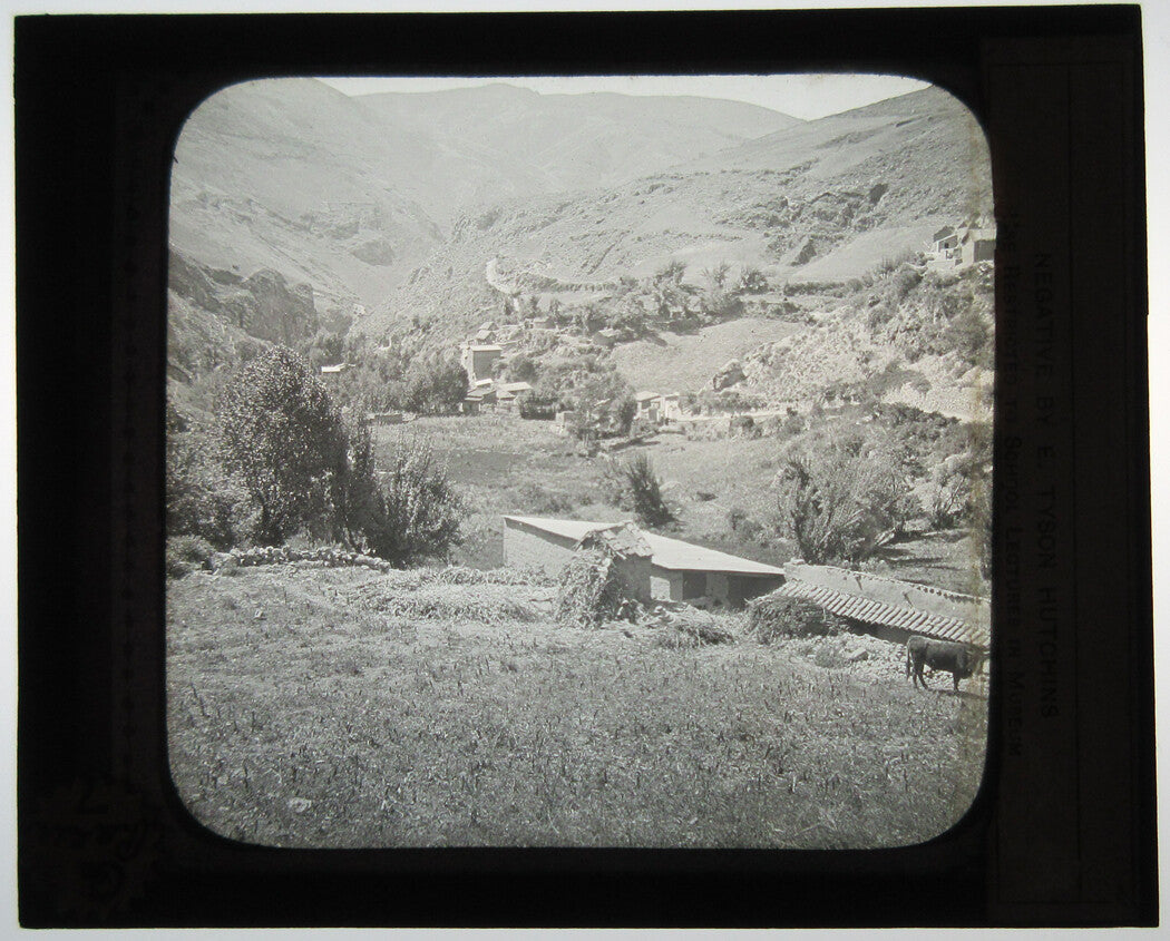 EASTERN SLOPE, ANDES. PERENE, PERU. PHOTO ON GLASS.