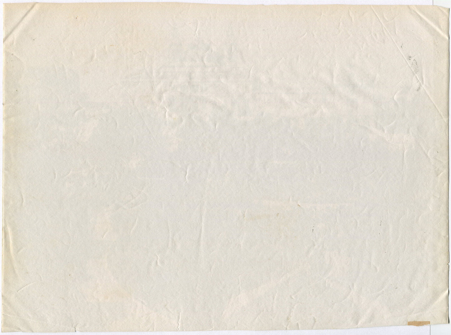 ARCHITECTURAL, CLASSIC BUILDING, SURROUNDING GARDENS.  UNMOUNTED ALBUMEN.