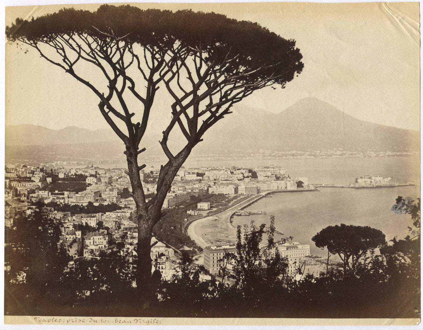 Vintage Bird's-Eye View of Naples, Italy - Unmounted Albumen Photo 8x10, Original Vintage Photograph