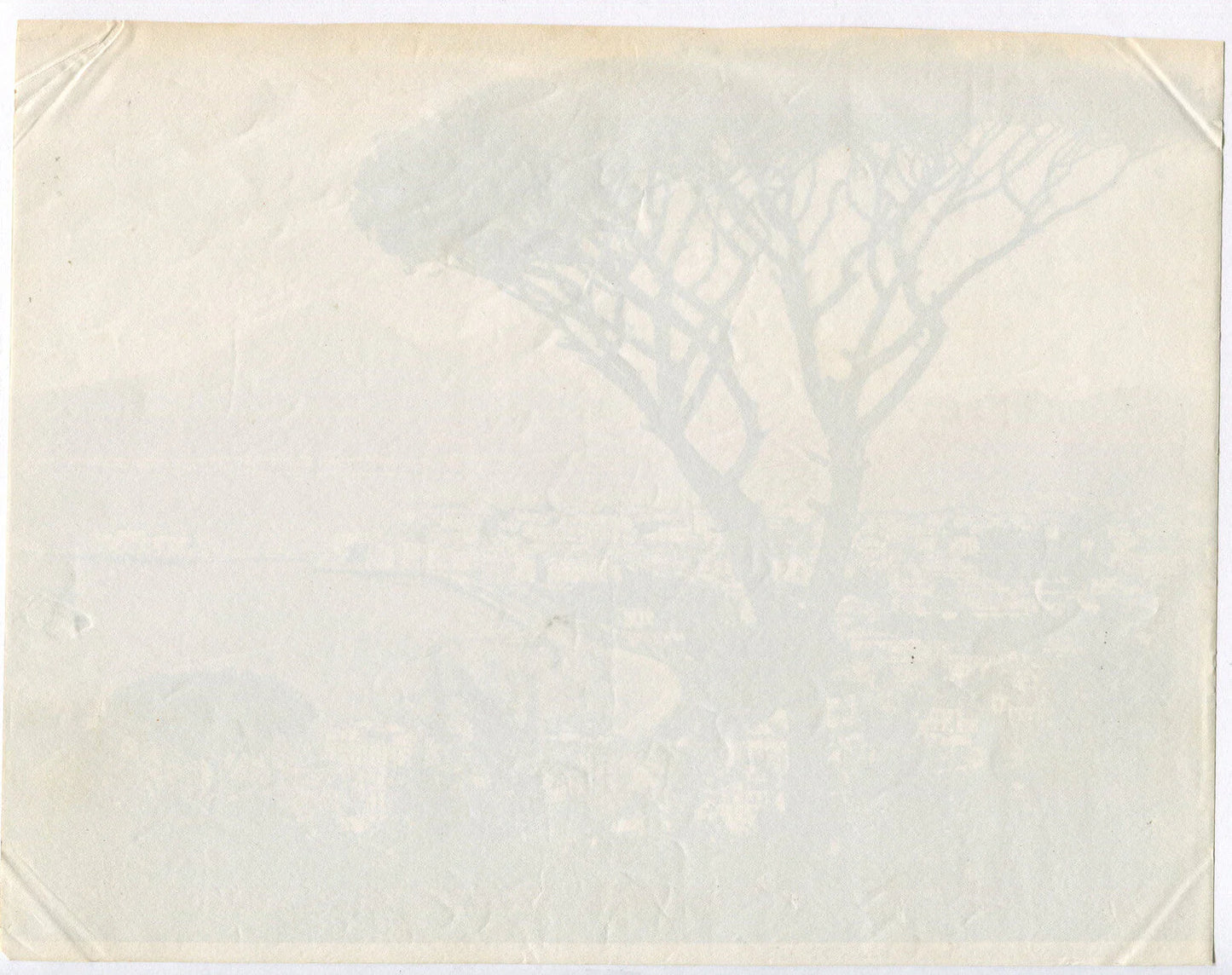 Vintage Bird's-Eye View of Naples, Italy - Unmounted Albumen Photo 8x10, Original Vintage Photograph