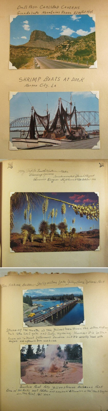 PHOTO POSTCARD ALBUM OF WESTERN U.S. STATES. 1950-60s. TOURIST DESTINATION.