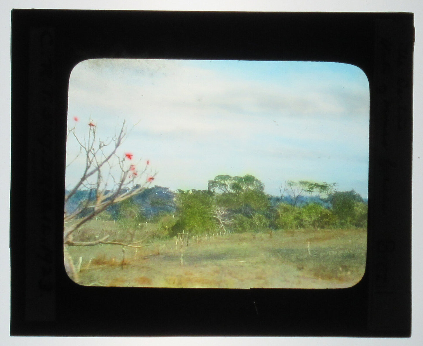 LANDSCAPE. BRAZIL.TINTED PHOTO ON GLASS.