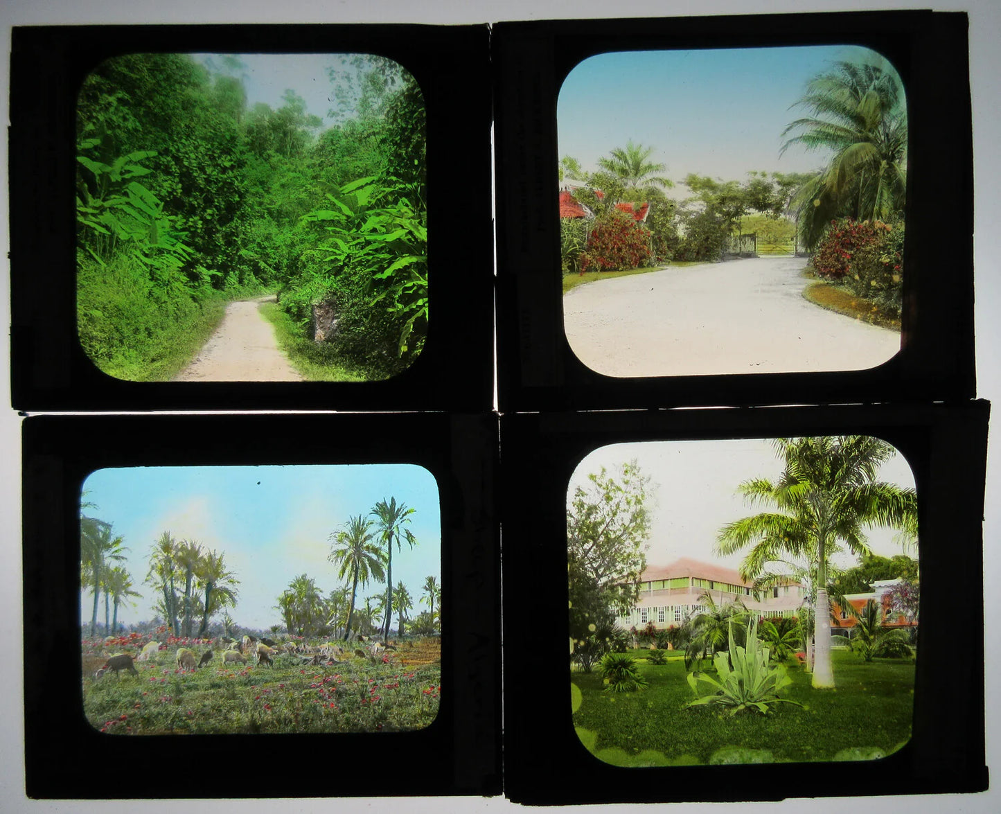 Vintage 4-Set Lantern Slide with Hand-Colored, Tinted Photo on Glass, Pastoral Scenes Below the Equator