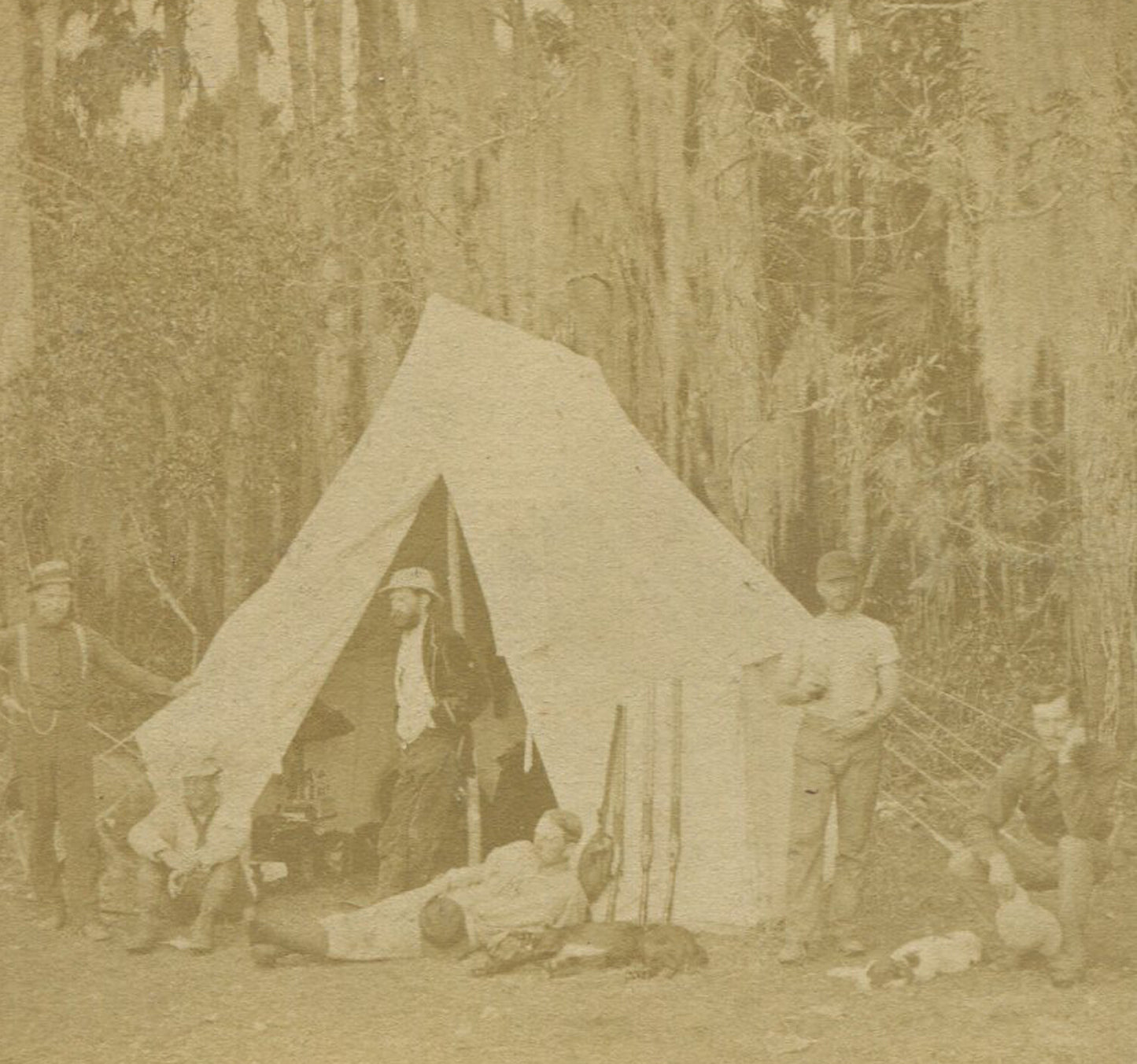 FLORIDA MEN CAMPING. STEREOVIEW.