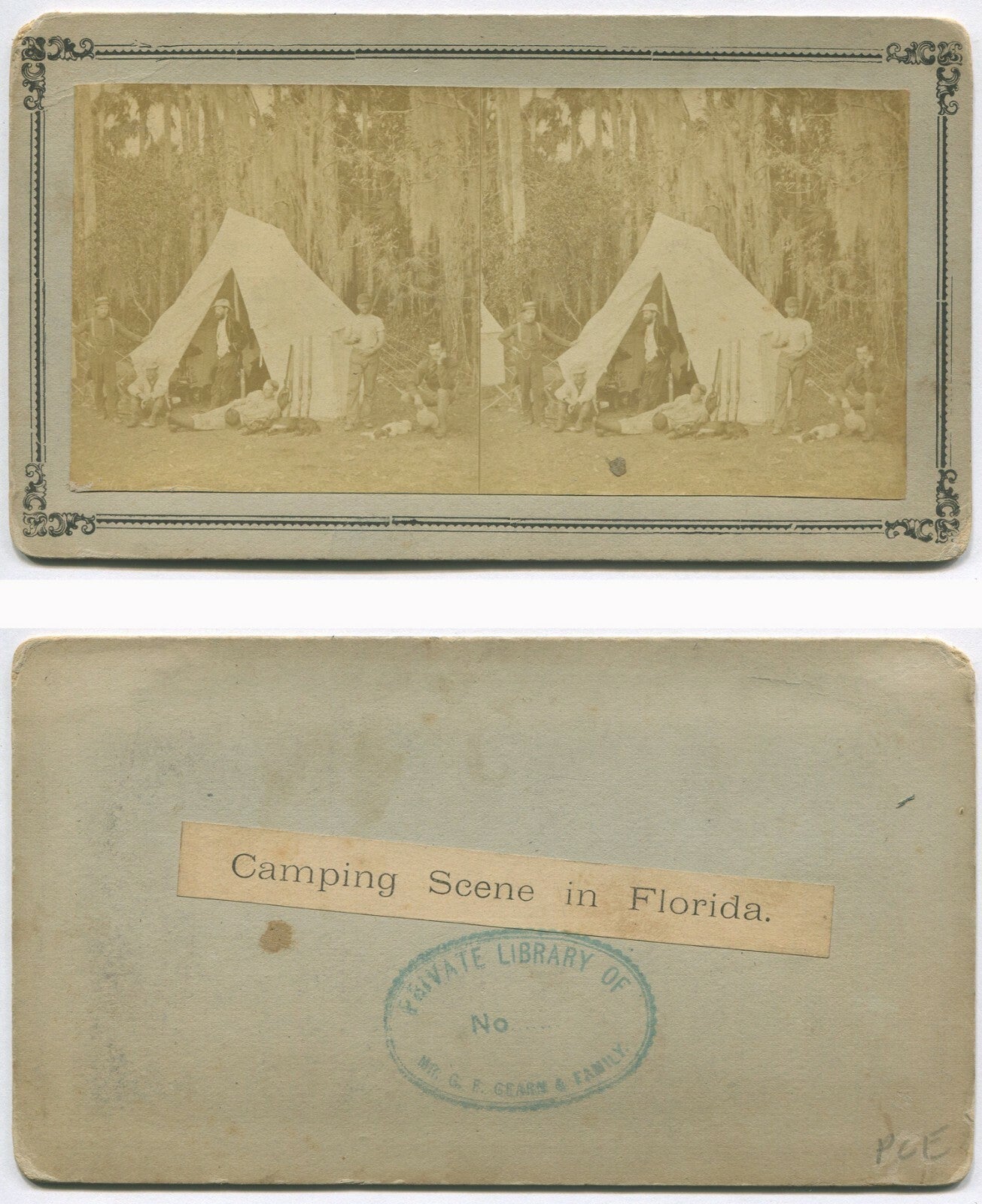 FLORIDA MEN CAMPING. STEREOVIEW.