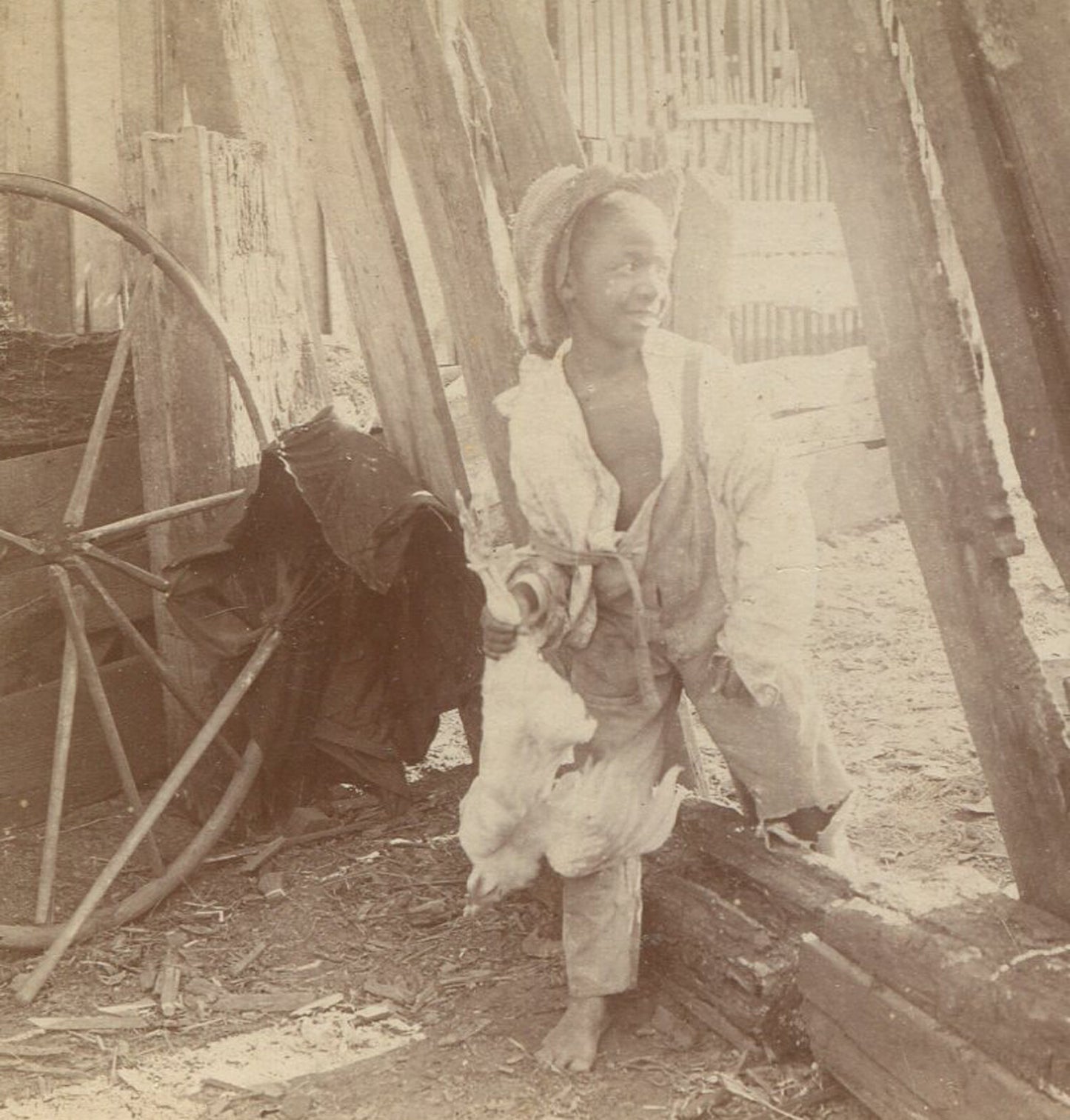 AFRICAN AMERICAN BOY WITH POULTRY. STEREOVIEW.