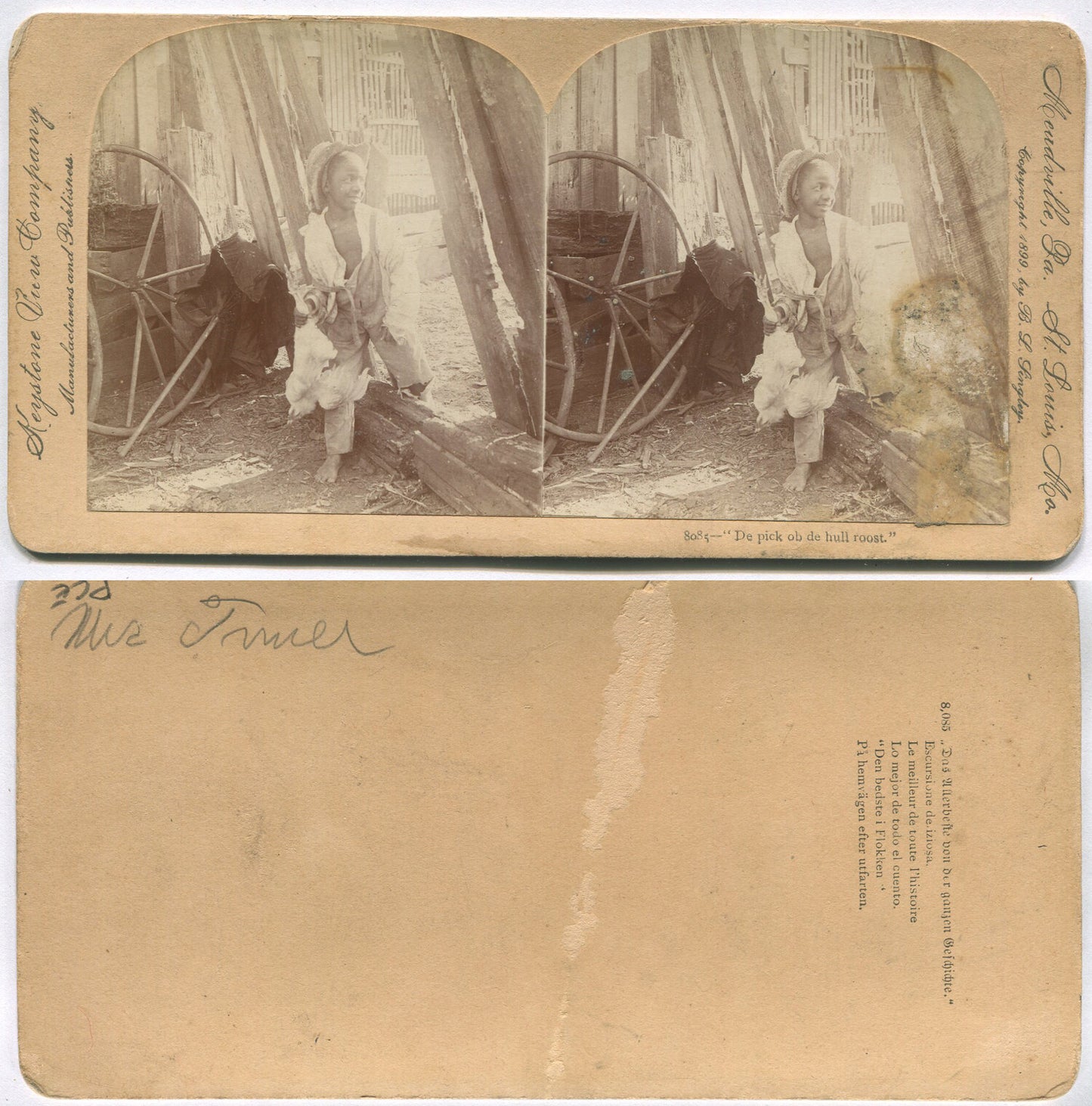 AFRICAN AMERICAN BOY WITH POULTRY. STEREOVIEW.