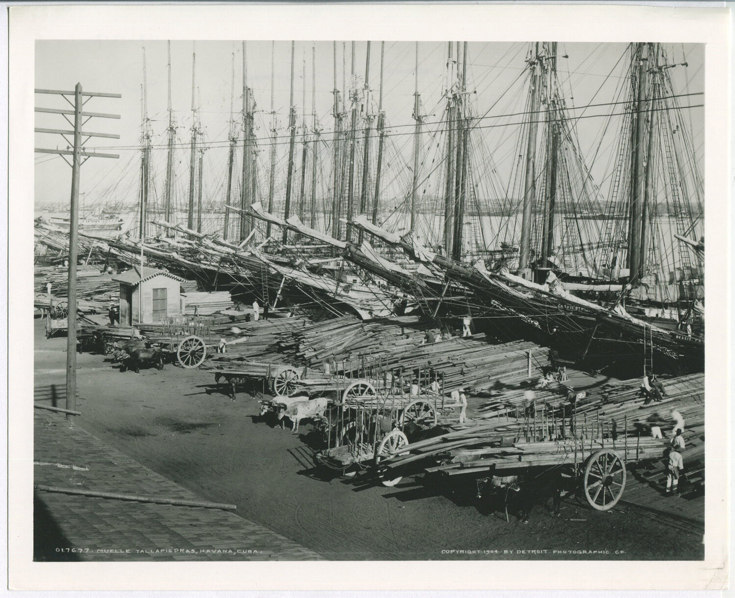 HAVANA HARBOR, CUBA. 1904. BLACK AND WHITE SILVER PRINT 8 X 10.