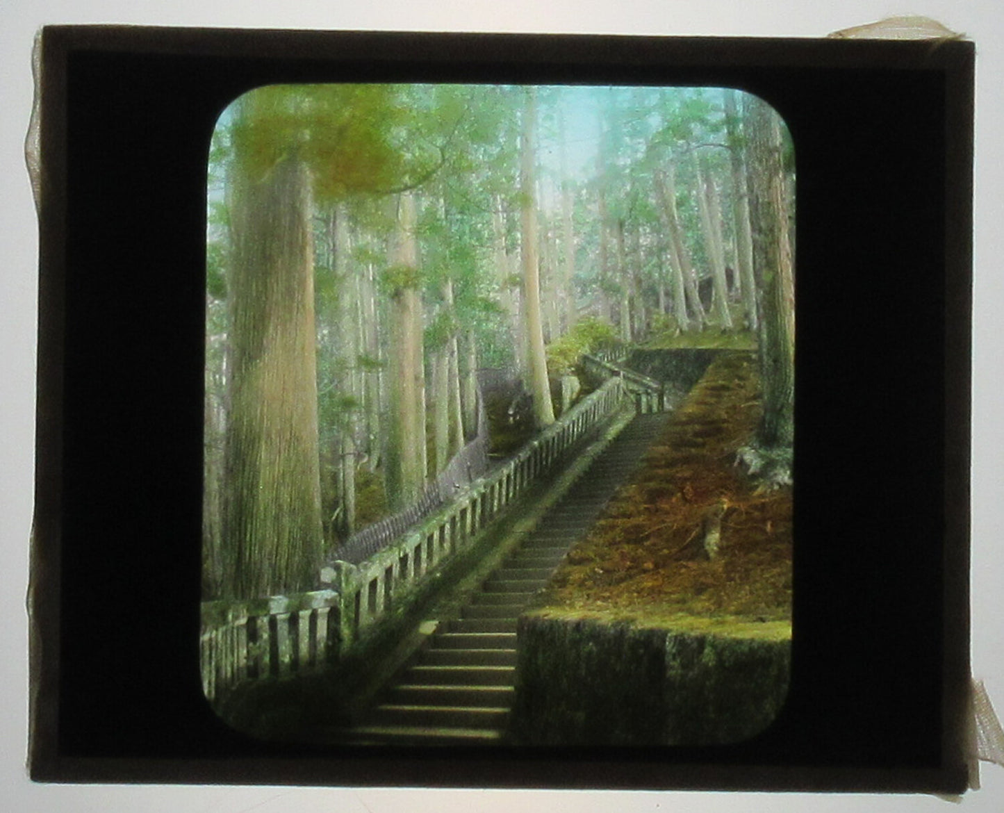 GARDEN STAIRS THROUGH TALL TREES. HAND TINTED PHOTO ON GLASS.