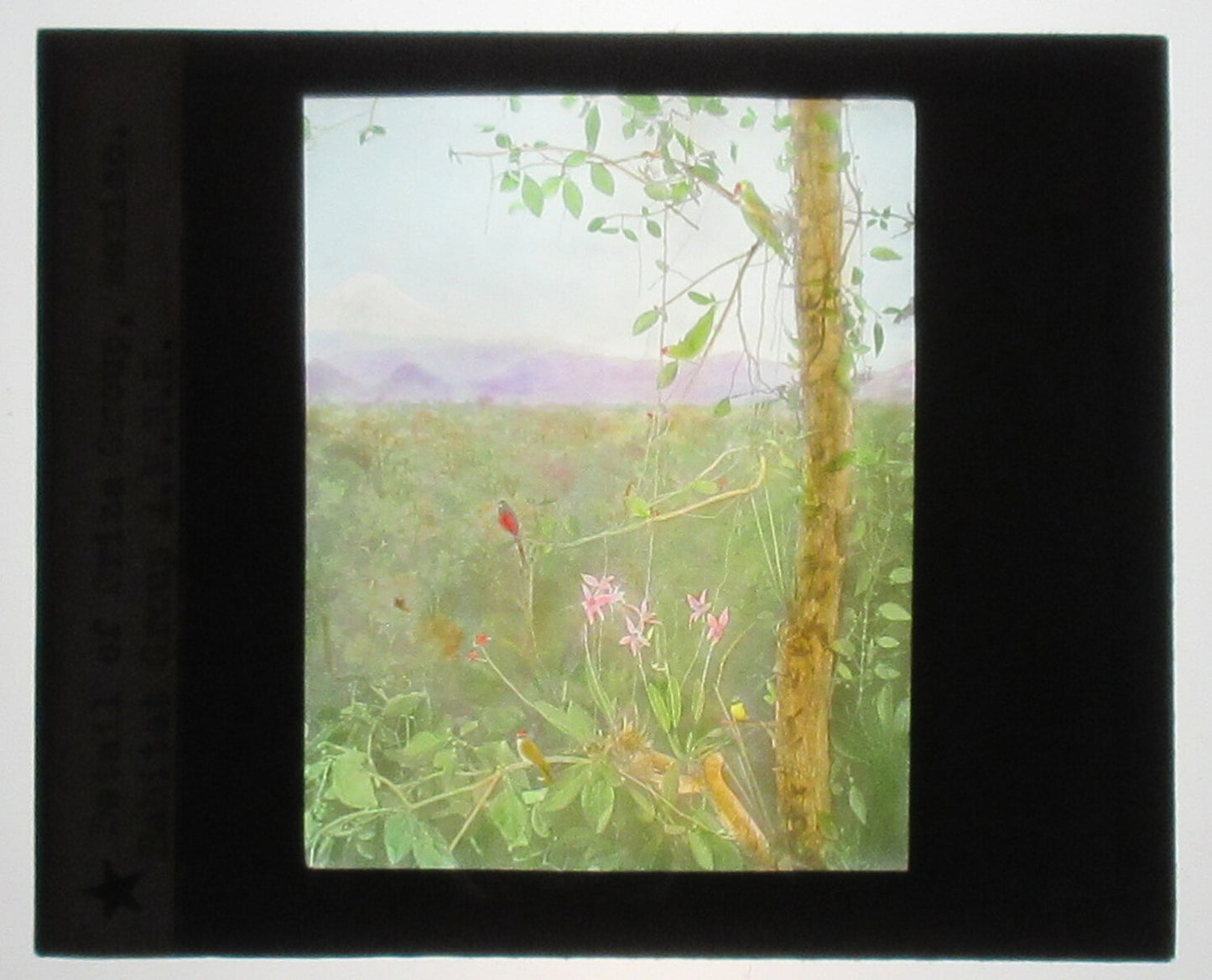 MEXICO LANDSCAPE. HAND COLORED PHOTO ON GLASS. TINTED LANTERN SLIDE.
