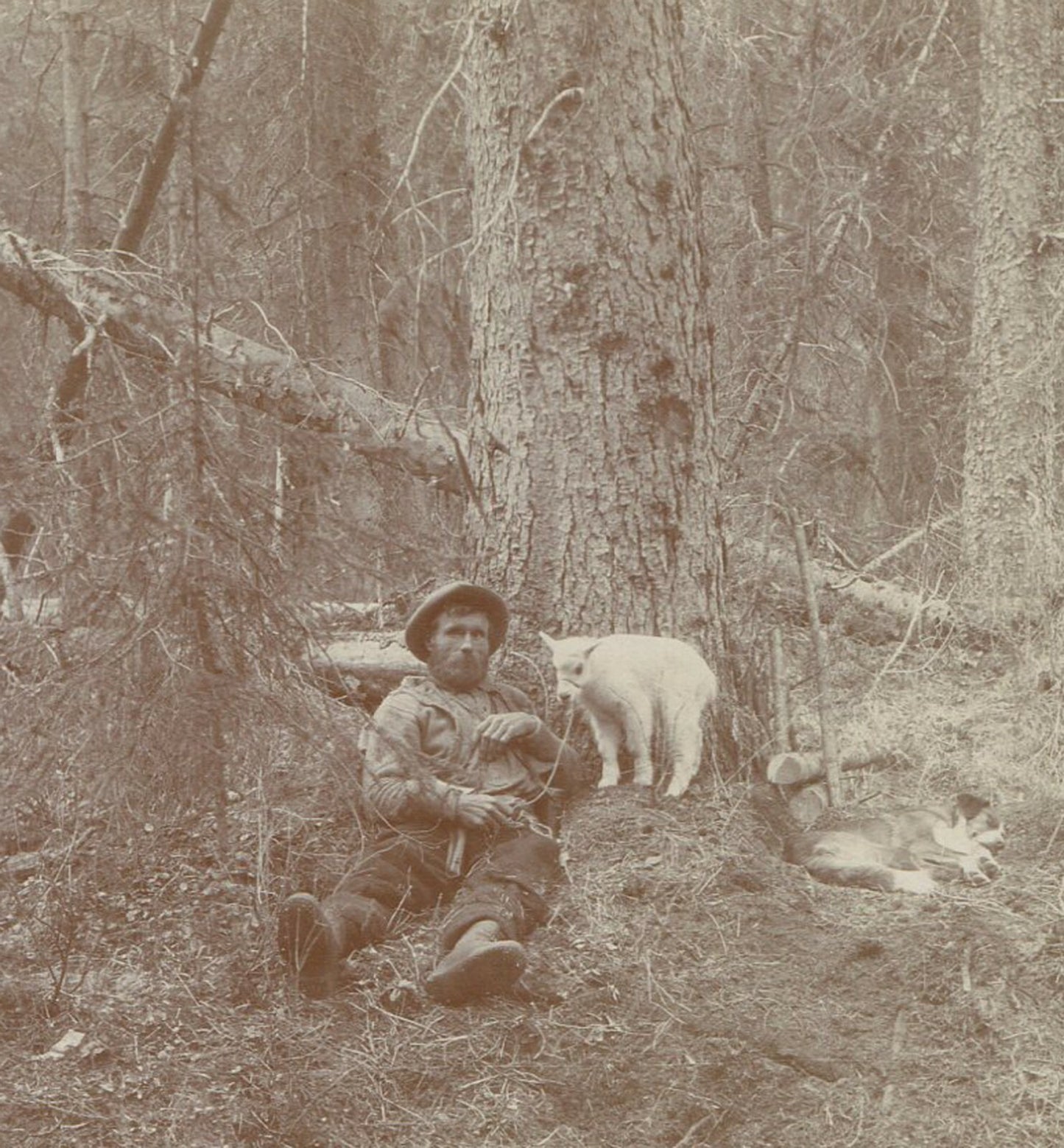 MAN WITH GOAT ON A LEAD. AMATURE STEREOVIEW.