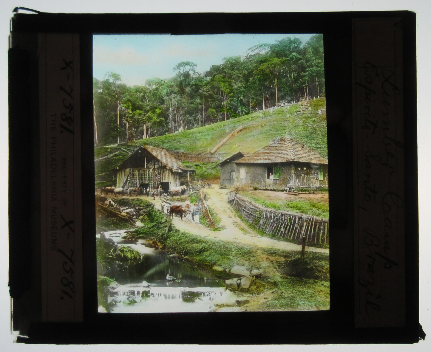 LUMBER CAMP, ESPIRITO SANTO, BRAZIL. HAND COLORED PHOTO ON GLASS.