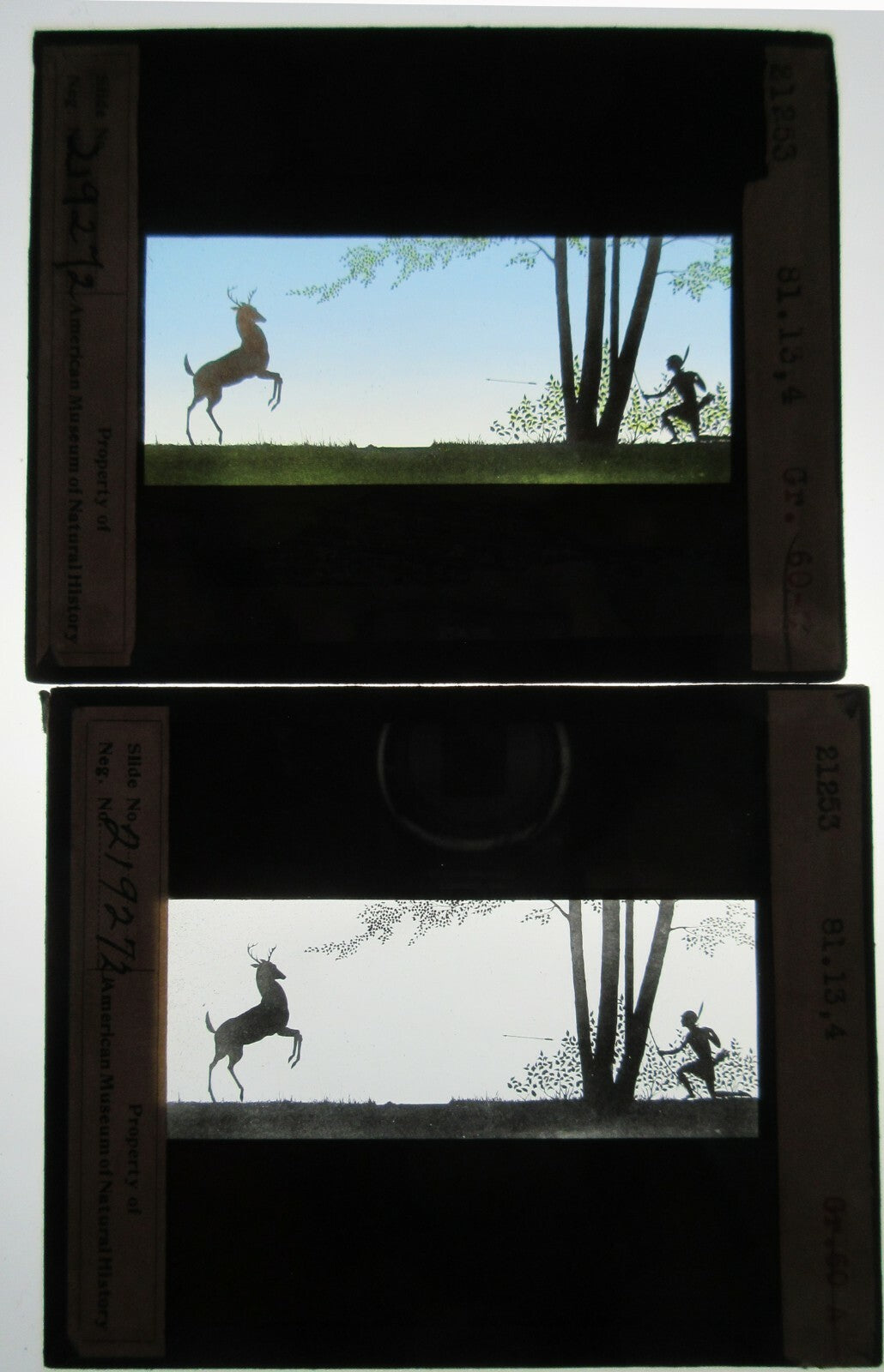DEER IN WOOD. ART WORK. HAND COLORED/B&W PHOTO ON GLASS. 2 SET.