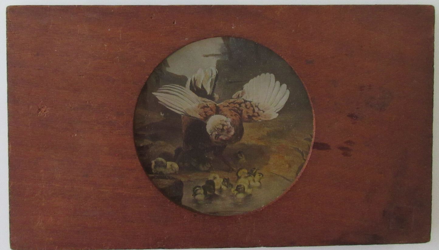 MAGIC LANTERN SLIDE, BIRD W/CHICKS, ART ON GLASS IN 4X7 WOOD HOLDER.