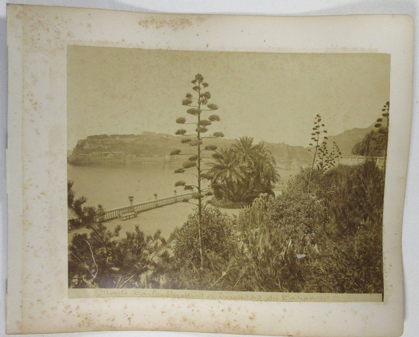 Vintage Monaco Monte Carlo 8x10 Albumen Photo Double-Sided on 11x13.5 Album Page