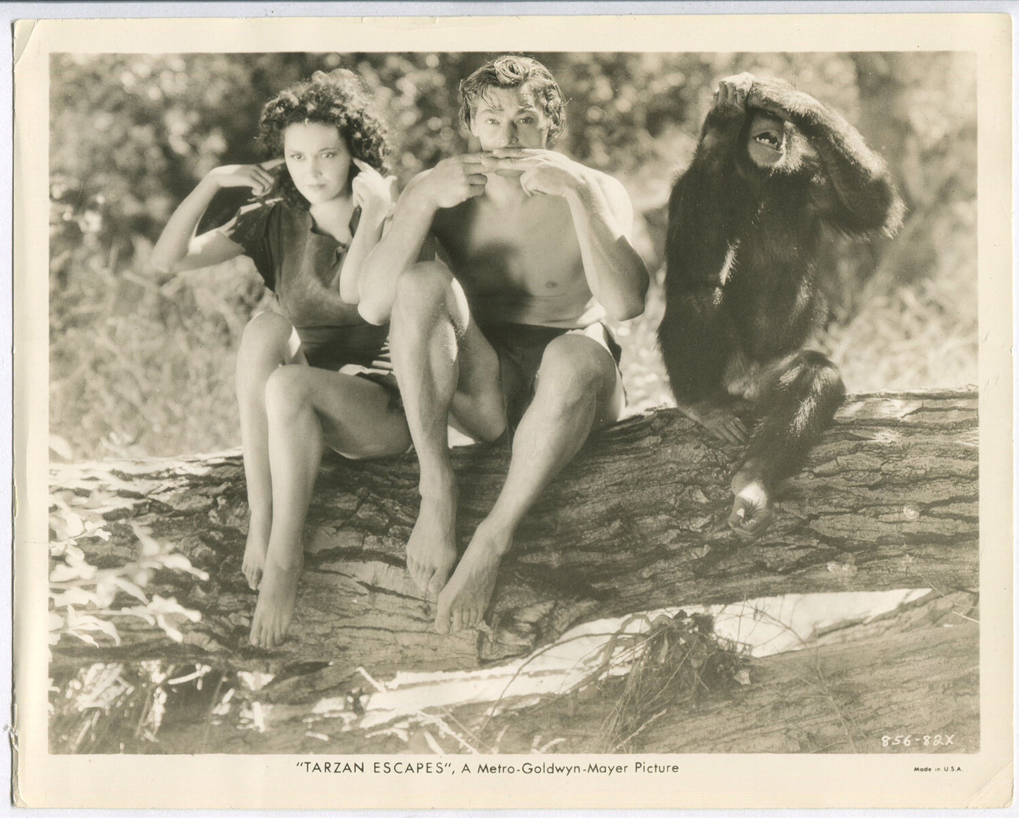 JOHNNY WEISSMULLER AND CAST IN COMIC POSE. MOVIE STILL TARZAN ESCAPES.  8x10