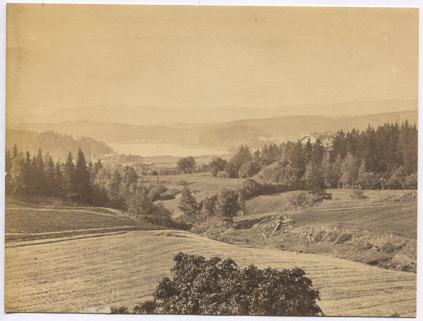Vintage albumen photograph - Pastoral Landscape, mounted 5.75x7.5 in print for