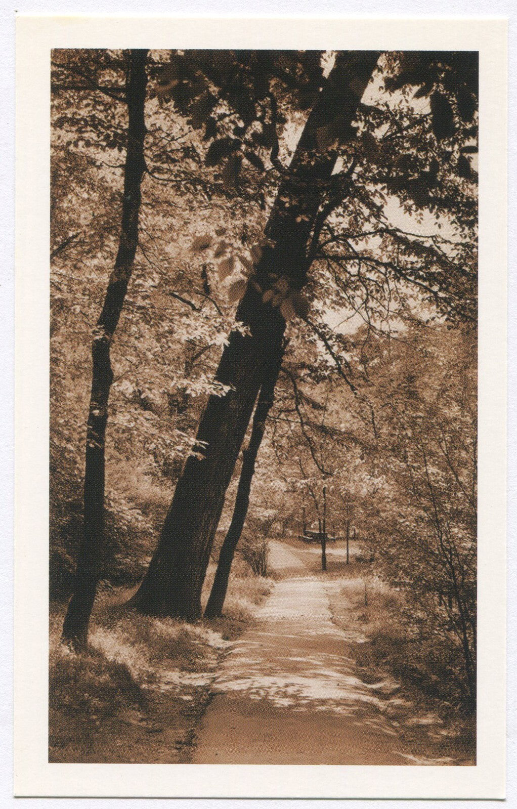 PITTSBURGH CITY PARK POSTCARDS. 4 SET. LITHOGRAPHS.