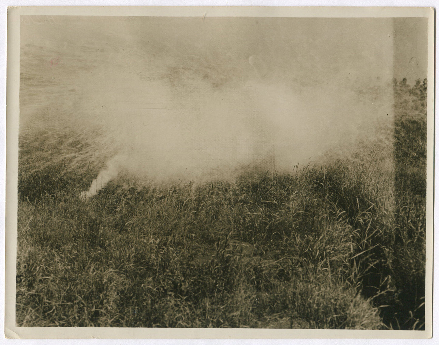 Vintage WWI Photo: New Zealand Military Training with Poison Gas on Western