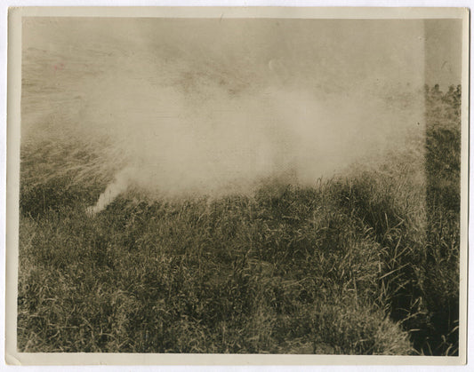 Vintage WWI Photo: New Zealand Military Training with Poison Gas on Western