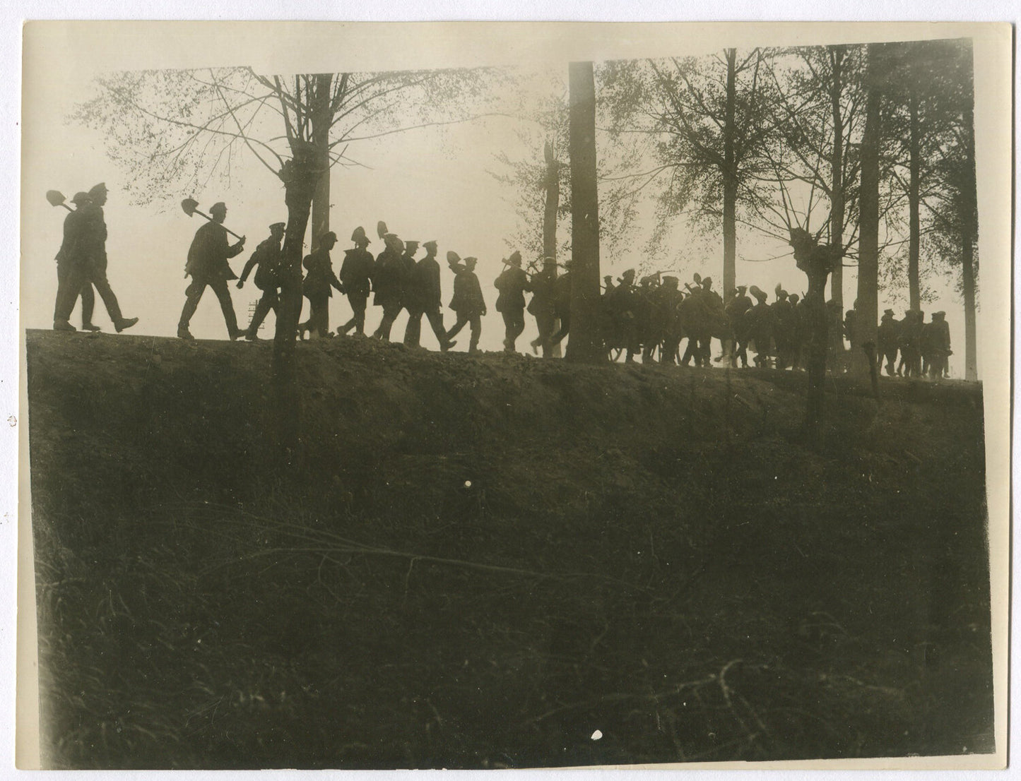 Vintage WWI British Troops with Shovels After Groundwork 8x10 Reproduction Print