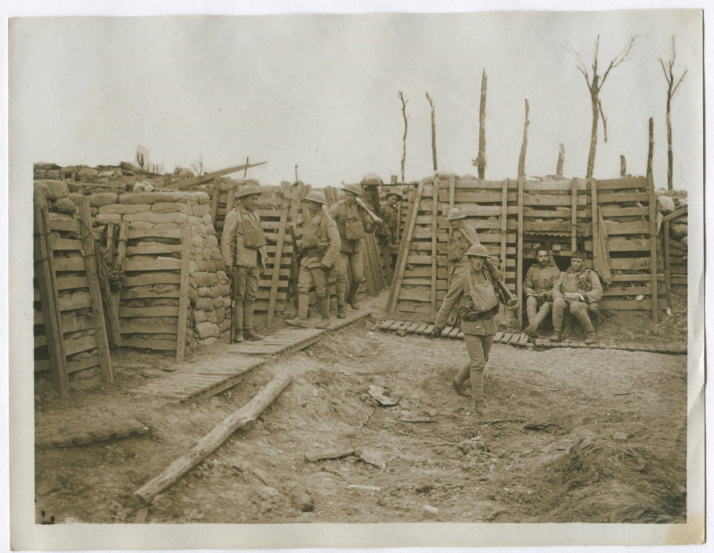 Vintage World War I Photo: Portuguese Troops in the Trenches on the Western