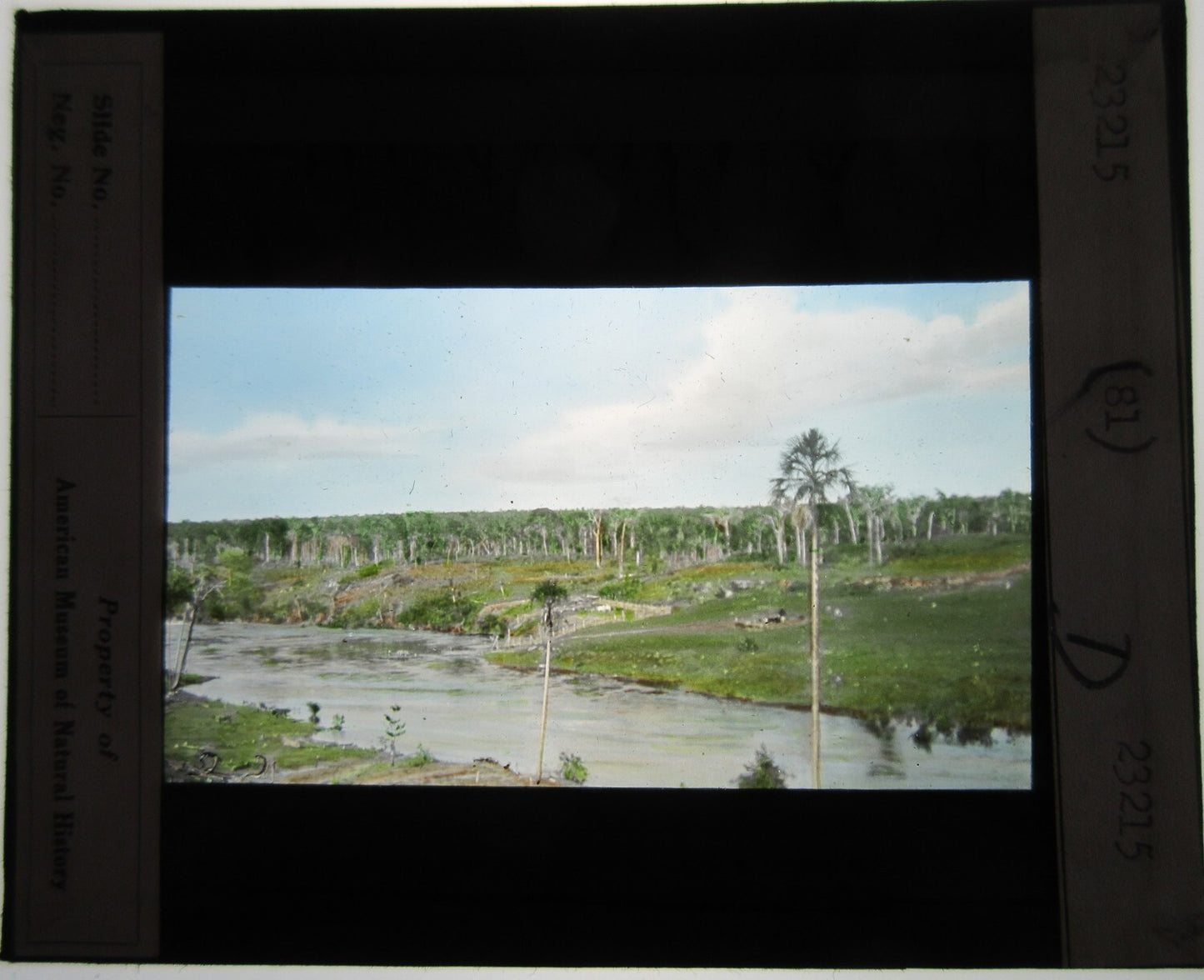 JURUENA RIVER, BRAZIL. HAND COLORED LANTERN SLIDE.