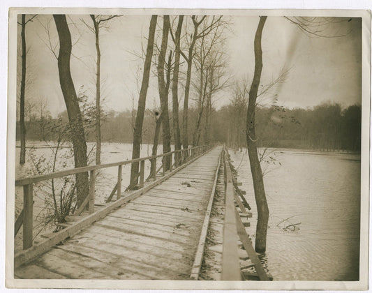 Vintage WWI British Military Engineers Bridge on the Western Front - 8x10 Photo