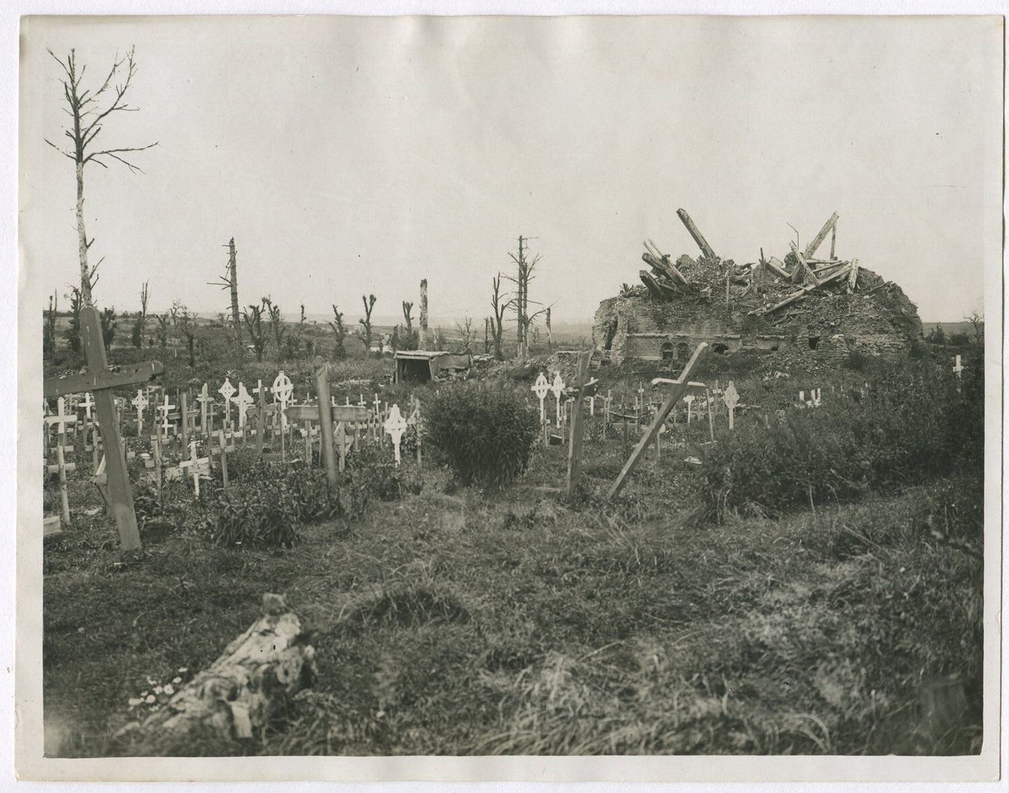 Vintage World War I 1917 Graves of the Fallen 8x10 Photo Print | Battlefield