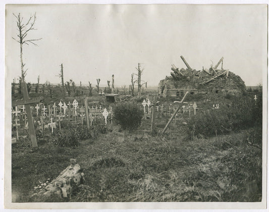 Vintage World War I 1917 Graves of the Fallen 8x10 Photo Print | Battlefield
